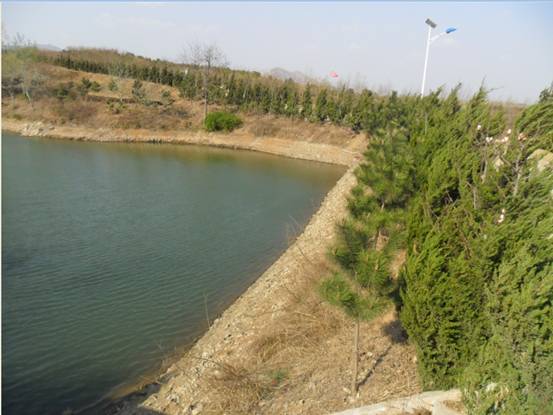 “水質純凈”自2002年承包廢棄地、荒山治理種植茶葉以來，園區內建造大口井